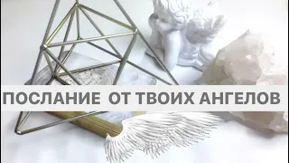 ПОСЛАНИЕ ВАШИХ АНГЕЛОВ: ЧТО ВАМ НАДО ЗНАТЬ? НА ЧТО ВЫВОДЯТ?  ( МЕСЯЦ-ДВА) ЕСТЬ ЧЕГО ОПАСАТЬСЯ?