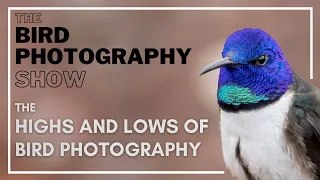 Shooting at ISO 25600 & Dealing with Heavily Saturated Colours | The Highs & Lows of Photography |