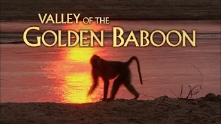 Valley of the Golden Baboon [Teaser trailer]