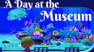 Completed Animal Crossing Museum Tour | No Talking
