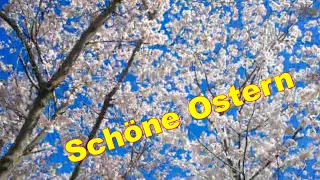 🐰🌞🌸🌼 Frühling ist es 🐰🌞🌸🌼 Ich wünsche Dir schöne Ostern, viele bunte Ostereier vom Osterhase 🐰🌞🌸🌼