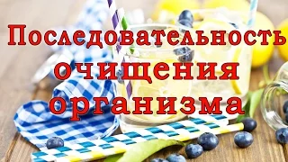 Последовательность очищения организма.Фундаментально!