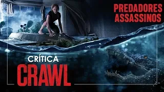 AGORA É A VEZ DOS JACARÉS 🐊 | Crítica "Predadores Assassinos" (Crawl)