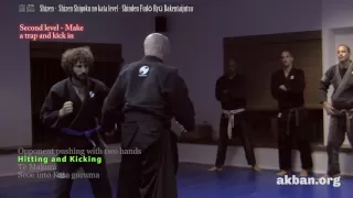 Aikido principles in Ninjutsu, Shizen Shigoku level, Shinden Fudo Ryu - Ninjutsu training AKBAN