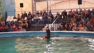 Дельфинарий на ВВЦ - 1. Танцы и Катание на Дельфинах