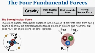 The Four Fundamental Forces - IB Physics