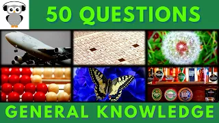 General Knowledge Quiz Trivia #44 | Jumbo Jet, Crossword, Dandelions, Abacus, Butterflies, Pub