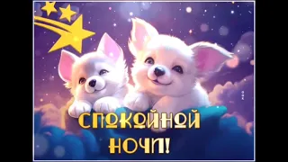 Спокойной ночи!🌙 Сладких снов!🤗💞💖🌛🌠