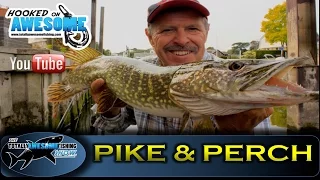 PIKE & PERCH Fishing the River Thames - TAFishing Show