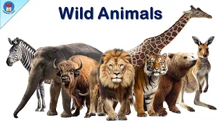 Wild Animals for Kids | 50 Wild Animals | Wild Animals Name | Wild animals Vocabulary | Wild animals