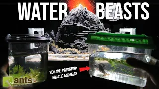 I Added WATER BEASTS to My Volcano Ant Paludarium