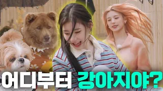 IT'ZZZ EP.09 | When cuties meet puppies