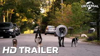 RUIM PRA CACHORRO | Trailer Oficial (Universal Studios) - HD