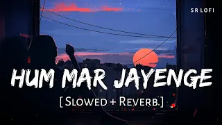 Hum Mar Jayenge (Slowed + Reverb) | Arijit Singh, Tulsi Kumar | Aashiqui 2 | SR Lofi