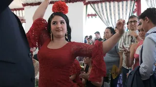 concurso de sevillanas en la feria de abril de Sevilla.