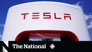 Tesla stock price sees major decline