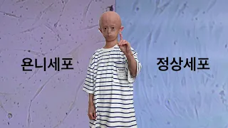 욘니가 선택한 유일한 길