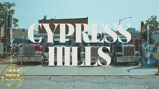 Brooklyn Driving Tour | Cypress Hills | White Noise