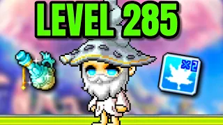 What's Grinding To 285 REALLY Like In Maplestory?