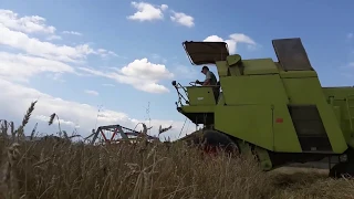 Żniwa 2019 Mieszanka CLAAS MERCATOR 50/URSUS C-360