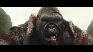 KONG: skull island - kong eats octopus