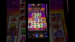 Massive stampede on min! #lasvegas #slots #casino #fyp #money #gambling #viral #wow #tipsandtricks