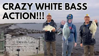 White Bass Fishing - Devils Lake, North Dakota - May 2024 (Nuv Ntses)