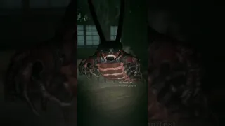 Giant Centipede; Creepiest Halloween House - Part 2