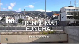 Walking Tour Frente Mar Funchal - Ilha da Madeira