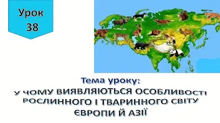 Урок 38.  У чому виявляються особливості рослинного і тваринного світу Європи й Азії?