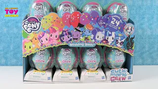 My Little Pony Series 3 Wedding Bash Cutie Mark Crew Figures Unboxing Review | PSToyReviews