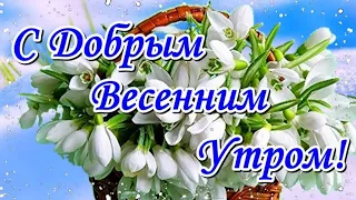 С добрым весенним утром! Пусть в сердце играет мелодия счастья!