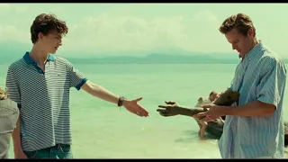 the beauty of call me by your name