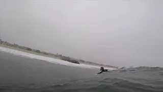 BODYBOARDING POV | Newport | (Edit)