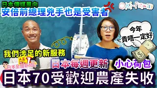 【小心荷包】日本70種受歡迎農產失收, #麝香葡萄 今年貴唔一定好 |日本傳媒風向: 安倍兇手也是受害者 | 311賠償創紀錄,東電股東拍手 |日本高薪員數量工創新高 |沖繩旅遊現況各走極端（上集）