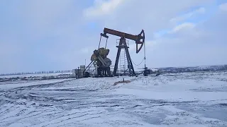 Видобуток нафти"чорного"золота.ЧОРНОЗЕМИ "чорне "золото України