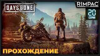 Days Gone _ Прохождение _ часть 20