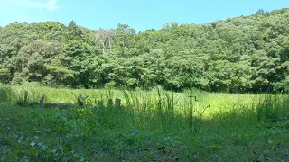 【4K】環境音　里山の風景　田んぼ　鳥のさえずり　小川のせせらぎ【癒やし】【リラックス】【作業用BGM】【睡眠用BGM】【自然音】【環境音】