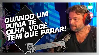 O QUE FAZER AO ENCONTRAR UM ANIMAL SELVAGEM? - RICHARD RASMUSSEN | Cortes do Inteligência Ltda.