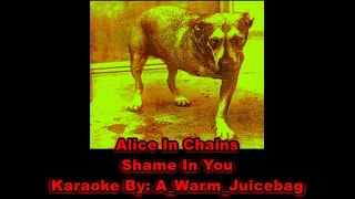 Alice In Chains   Shame In You Karaoke