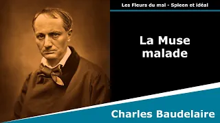 La Muse malade - Les Fleurs du mal - Sonnet - Charles Baudelaire