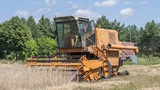 Polskie Żniwa-Żniwa z Bizonem 2021