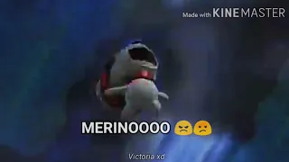 Perrito grita Merinoooo 😡😠