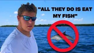 Snook Fishing in Tampa Bay *DOLPHINS EAT ALL OUR FISH* (Shot on iPhone 14 Pro Max)