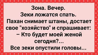 Пахан на Зоне Ищет Себе Жену! Сборник Свежих Анекдотов! Юмор!