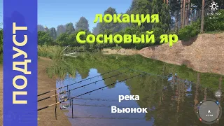 Русская рыбалка 4 - река Вьюнок - Подуст у лагеря