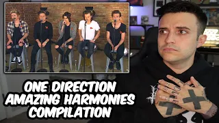 One Direction Amazing Harmonies REACTION