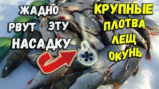 Одна из лучших насадок для зимней рыбалки в глухозимье