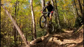 Pisgah Mountain Biking: Avery Creek, Bennett Gap, and Butter Gap