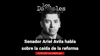 El gobierno hundió la Reforma Política / ¿Qué opina Ariel Ávila de los micos?